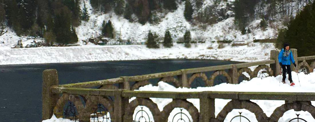 You are currently viewing Randonnée au Lac Blanc : Les images