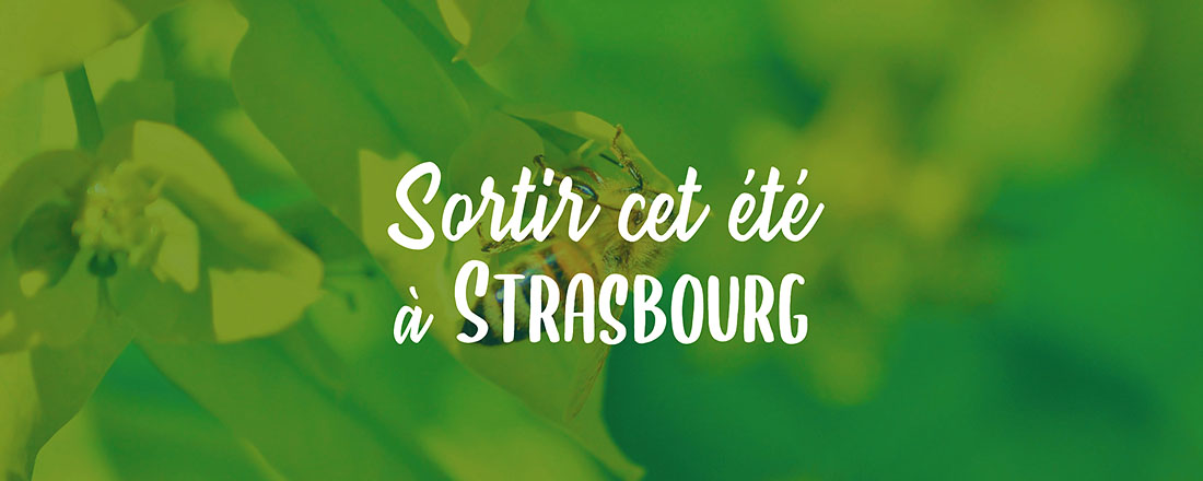 You are currently viewing Sortir cet été à Strasbourg