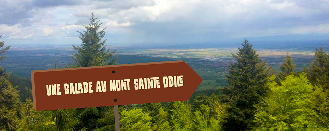 You are currently viewing Une balade au Mont Sainte Odile