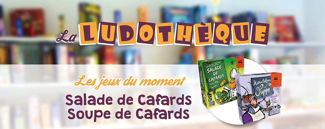 You are currently viewing Les jeux du moment : Salade et Soupe de Cafards