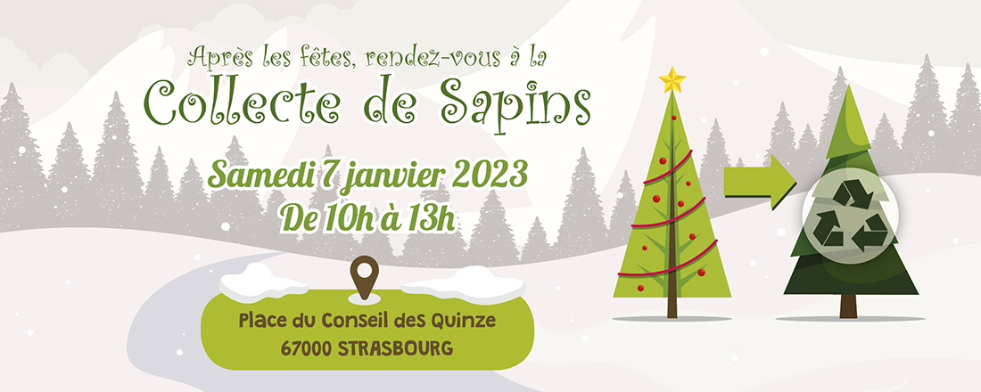 You are currently viewing Mon beau sapin 2023 : Après les fêtes, le compost