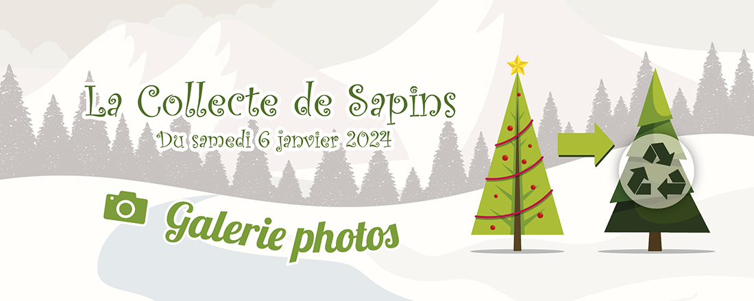 You are currently viewing La Collecte de Sapins 2024 : galerie photos