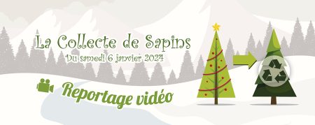 Reportage vidéo : la Collecte de Sapins 2024 !
