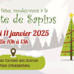 Mon beau sapin 2025 : Après les fêtes, le compost