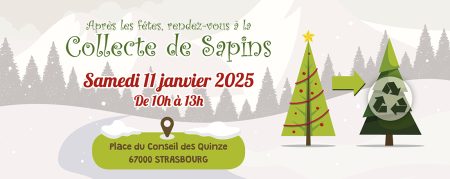 Mon beau sapin 2025 : Après les fêtes, le compost