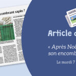 DNA du 07.01.2025 : Après Noël, que faire de son encombrant sapin ?