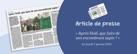 DNA du 07.01.2025 : Après Noël, que faire de son encombrant sapin ?