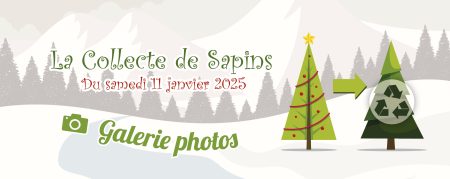 Mon beau sapin 2025 en images : après les fêtes, le compost !