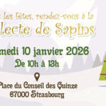 Mon beau sapin 2026 : Après les fêtes, le compost !