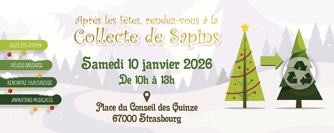 You are currently viewing Mon beau sapin 2026 : Après les fêtes, le compost !