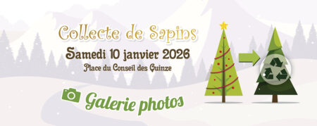 Collecte de sapins en images : rencontres chaleureuses, mélodies et saveurs partagées !