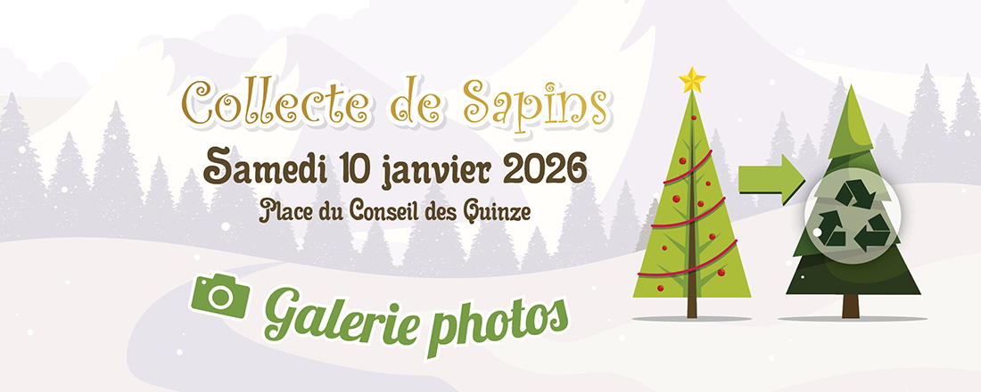 You are currently viewing Collecte de sapins en images : rencontres chaleureuses, mélodies et saveurs partagées !