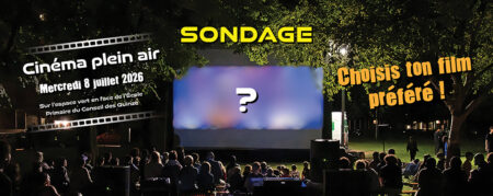 Sondage cinéma plein air : quel film animera votre belle soirée d&rsquo;été ?